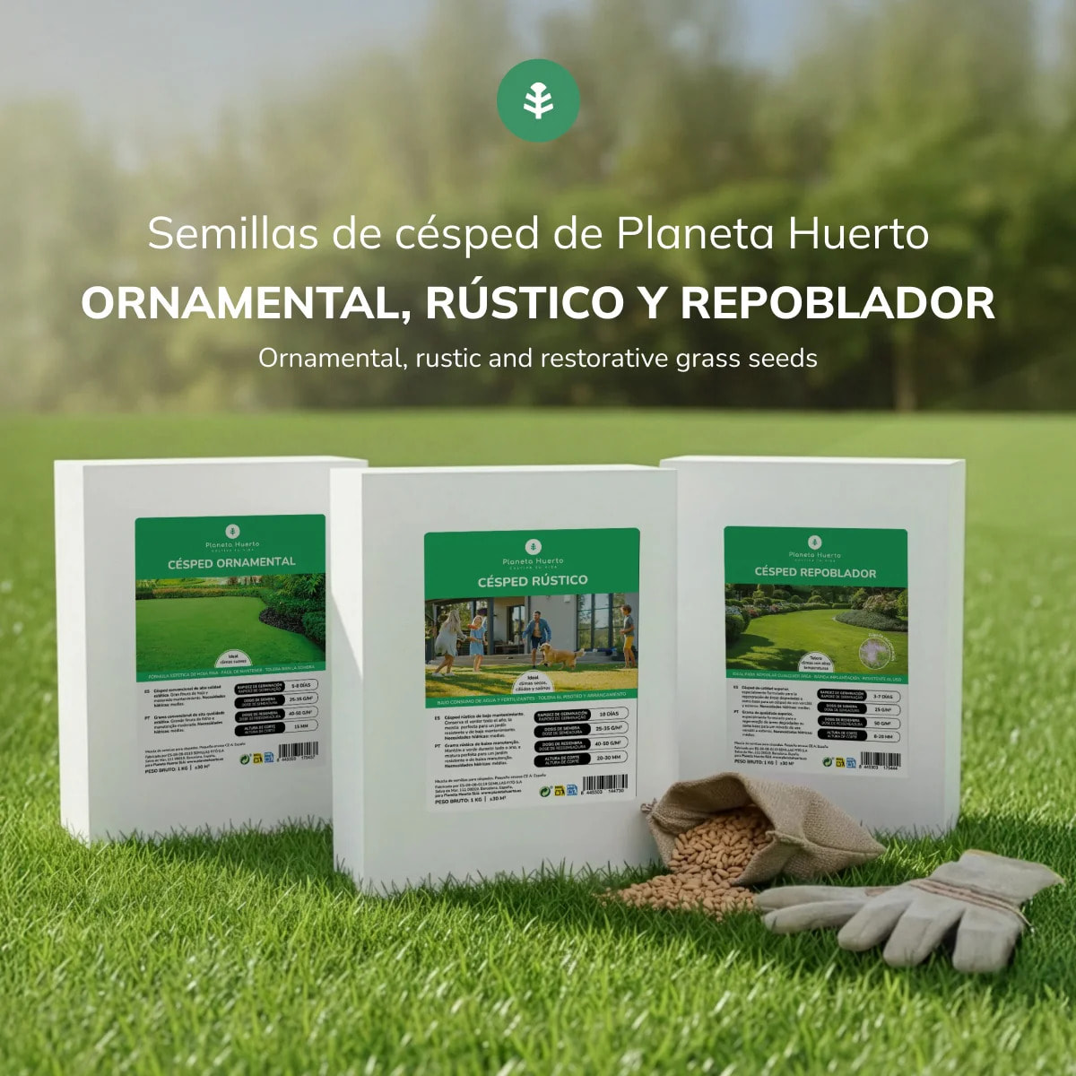 Semillas Césped Ornamental Planeta Huerto 1 kg