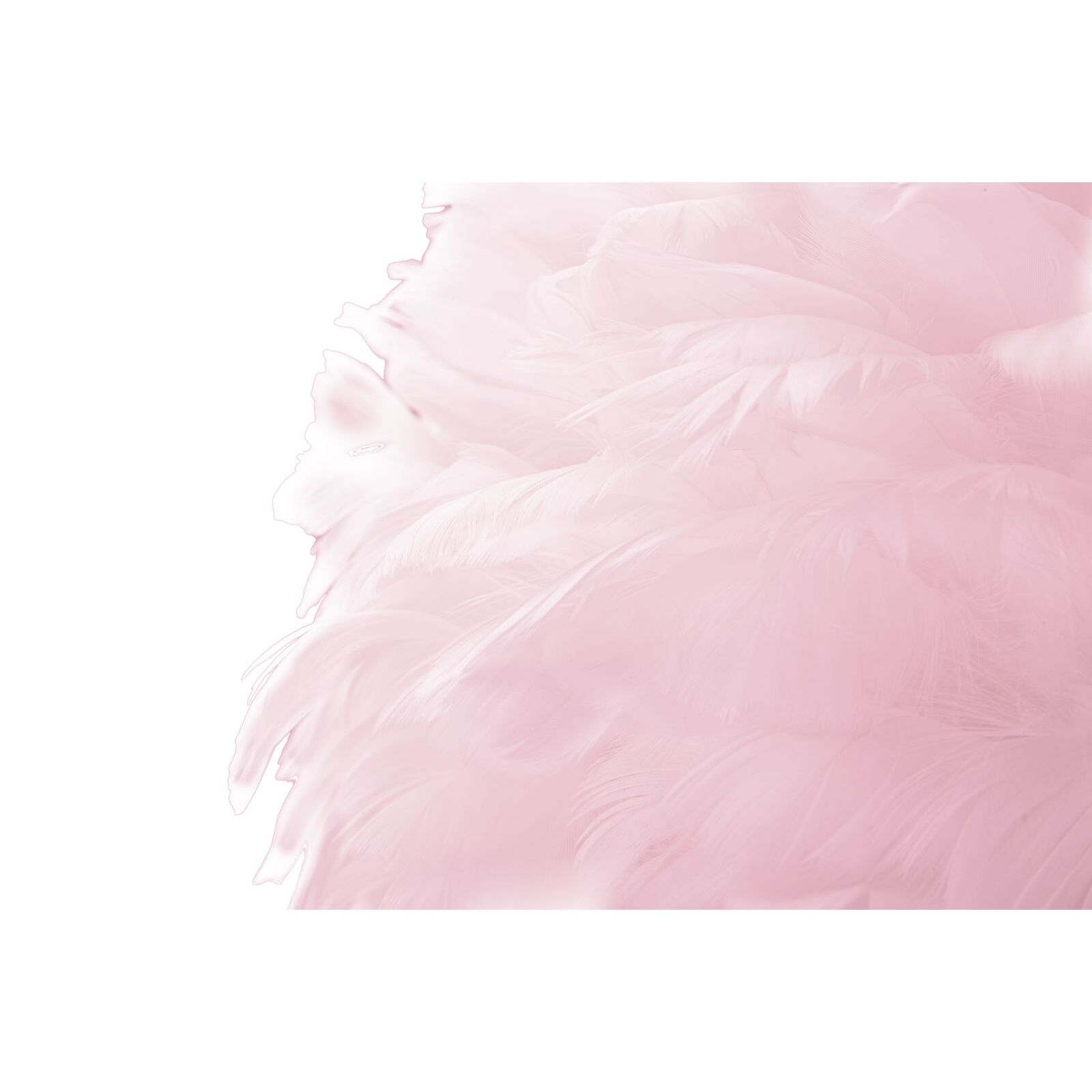 LAMPADA DA TERRA SLIM ROSA CM Ø 50X165