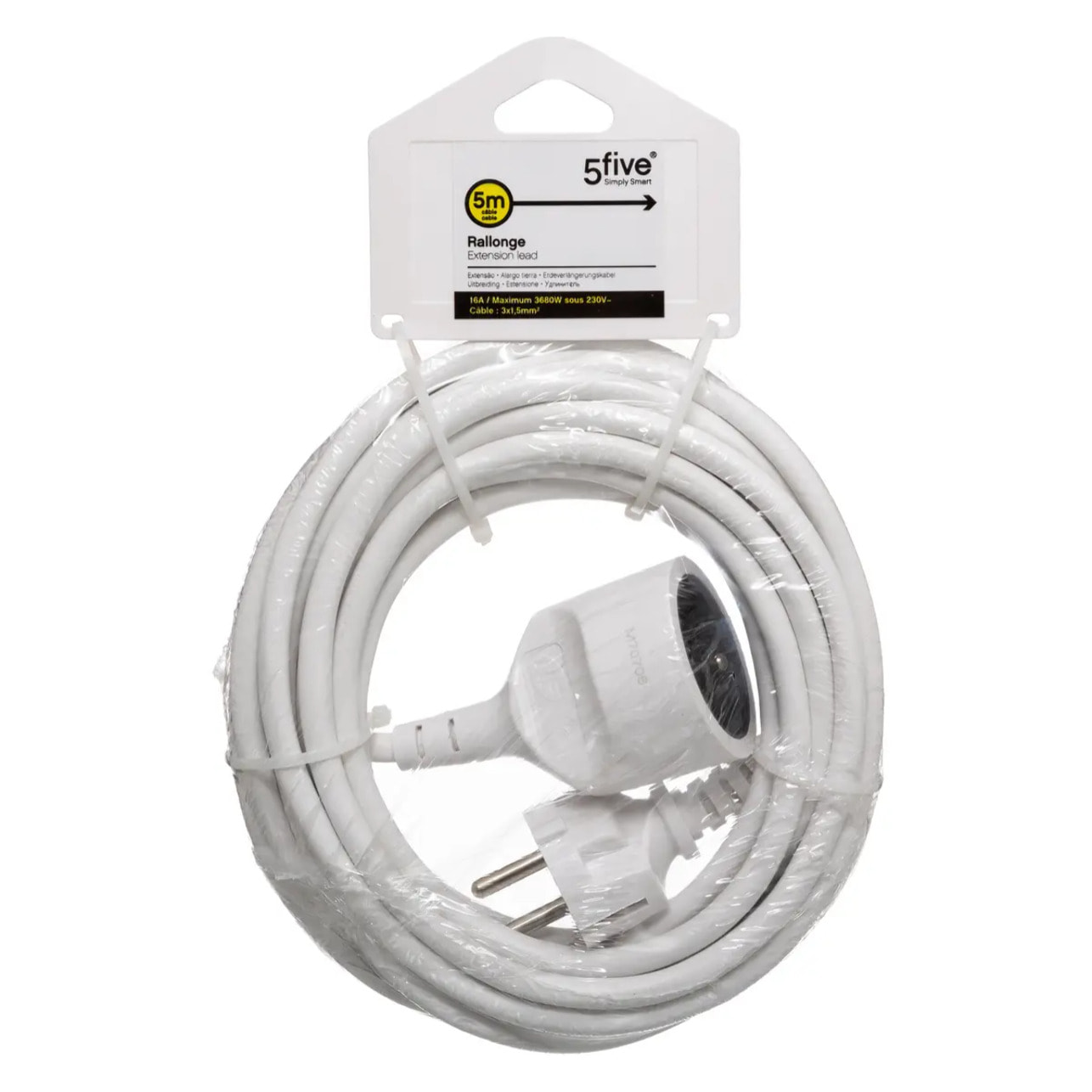 Rallonge prise avec terre 5 m