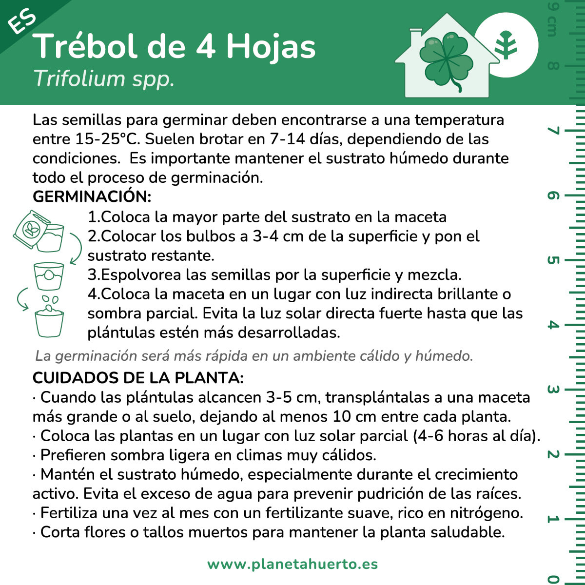 Kit de autocultivo Trébol Planeta Huerto