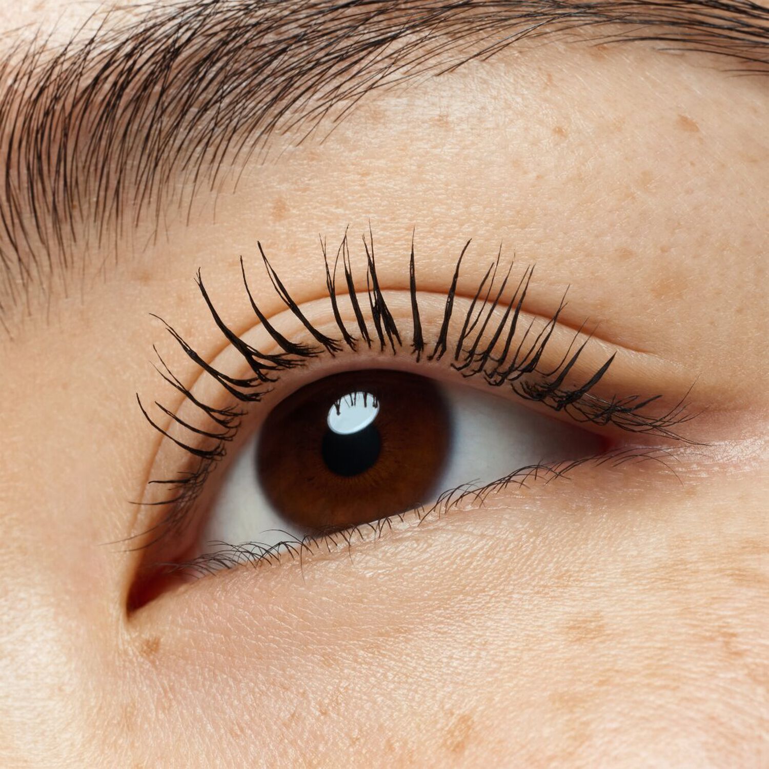 Lash Without Limits - Mascara Volume et Longueur Extrême Waterproof 13 ml