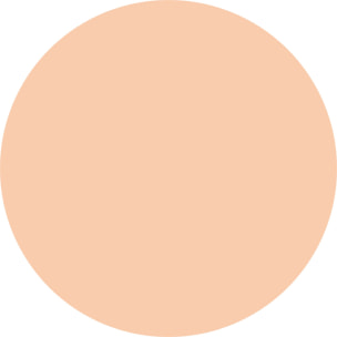 VIRTUOUS SKIN Fondotinta vegan dal finish "natural glow"