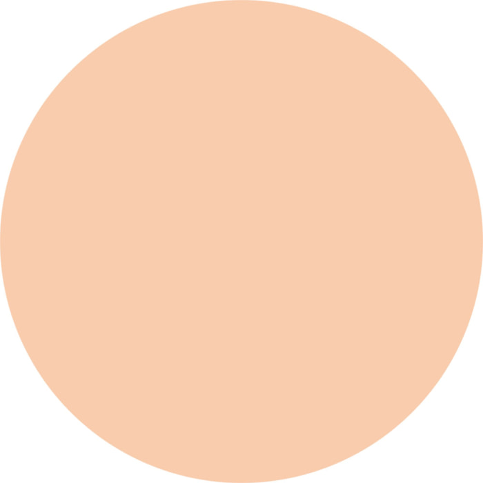 VIRTUOUS SKIN Fondotinta vegan dal finish "natural glow"