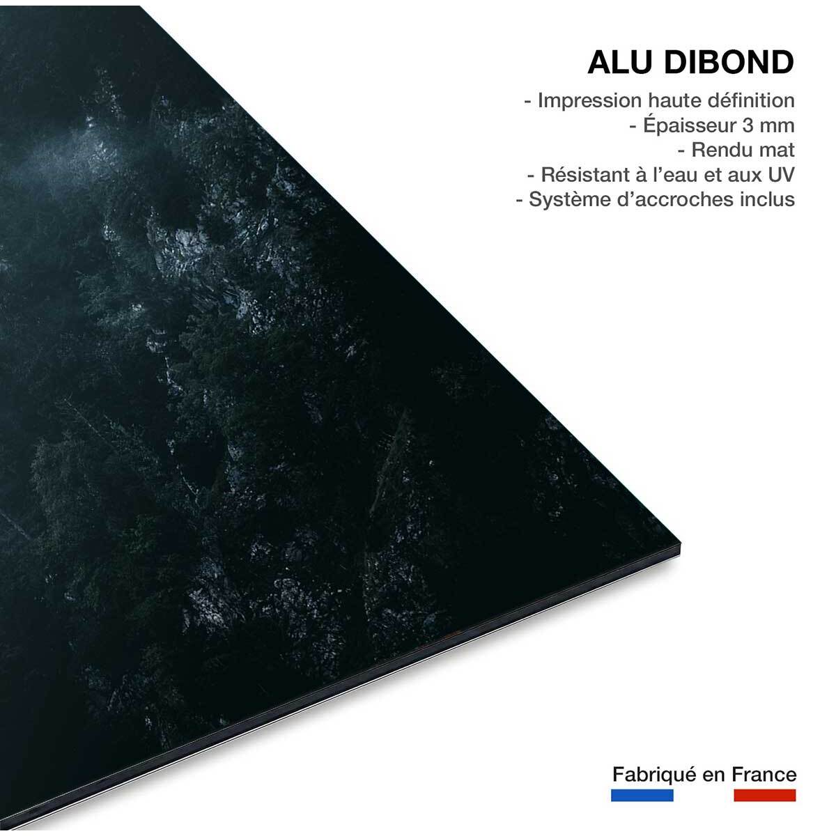 Tableau suisse au petit matin Tableau alu Dibond