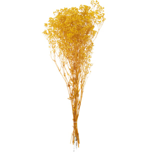 J-Line fleur artificielle Bouquet Gypsophile Seché - rotin - jaune
