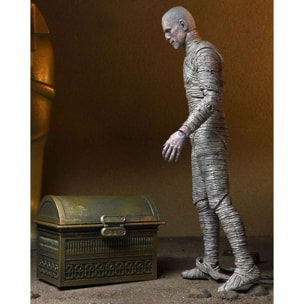 Universal Monsters Accessory Pack For Action Figures The Mummy NECA