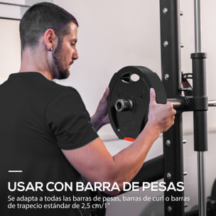 Juego de Discos Pesas de 4 Piezas Discos de Pesas 2x5 kg 2x2,5 kg con Orificios de 2,5 cm para Entrenamiento Fitness en Hogar Gimnasio Negro