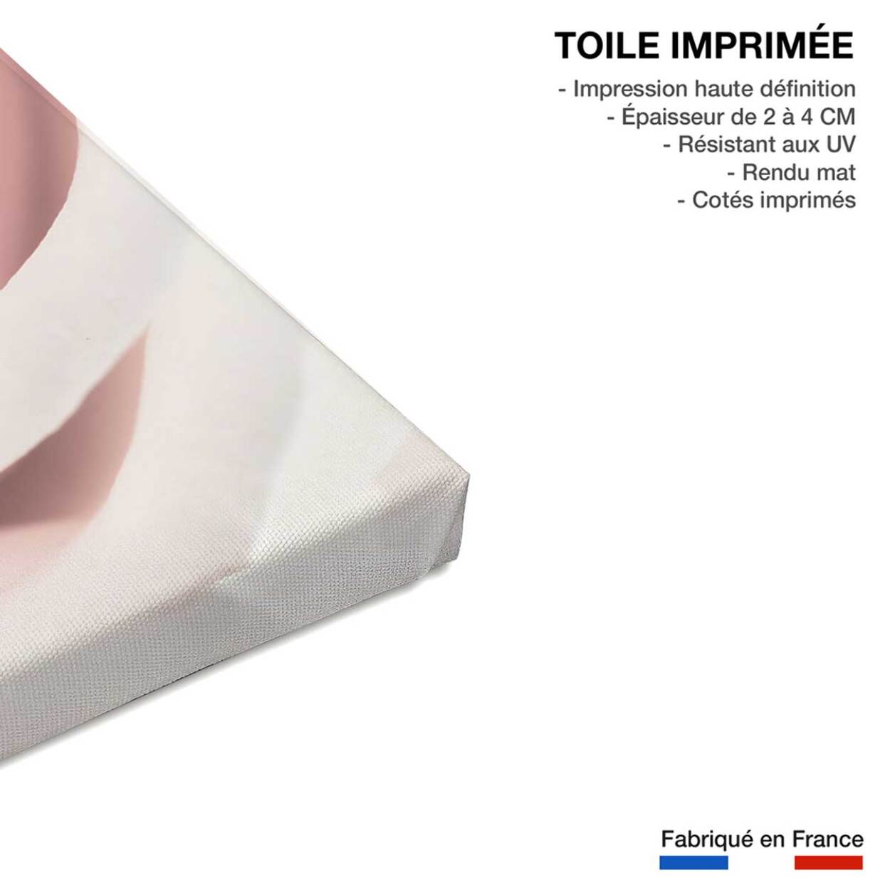 Tableau coeur de roses Toile imprimée