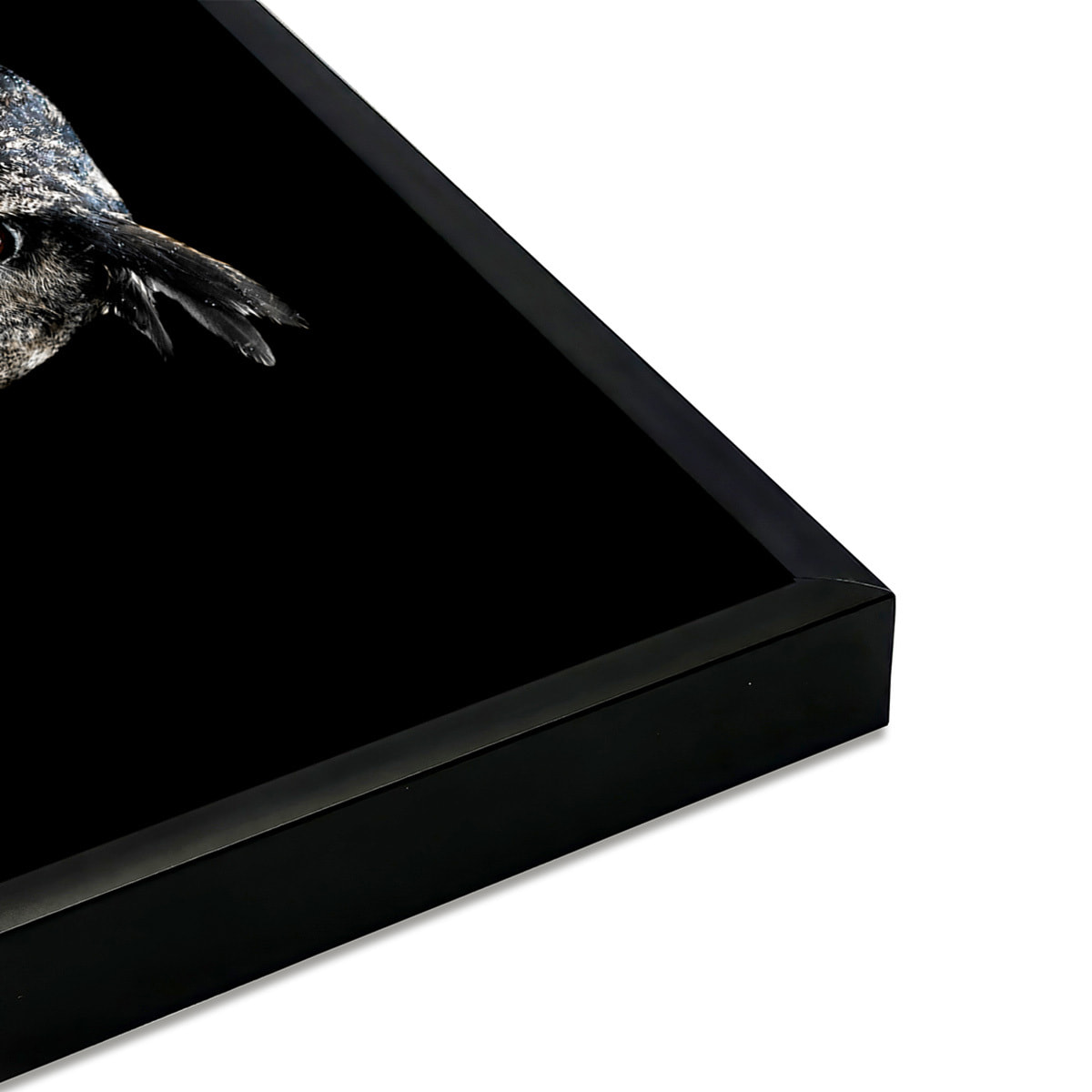 Affiche encadrée canard graphique Affiche + cadre en métal - Noir