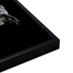 Affiche encadrée canard graphique Affiche + cadre en métal - Noir