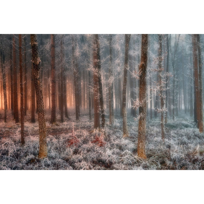 Tableau paysage de glace et de feu Tableau plexiglas