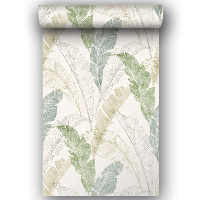 Papier peint rouleau feuilles tropicales Vert