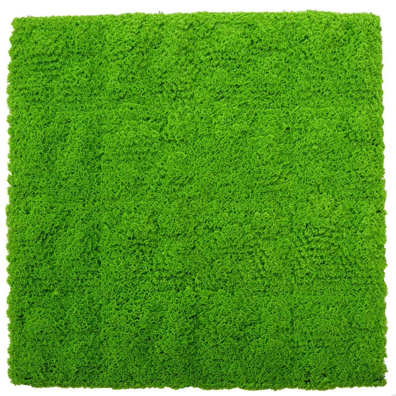Parete verde verticale Vacchetti muschio cm100x100