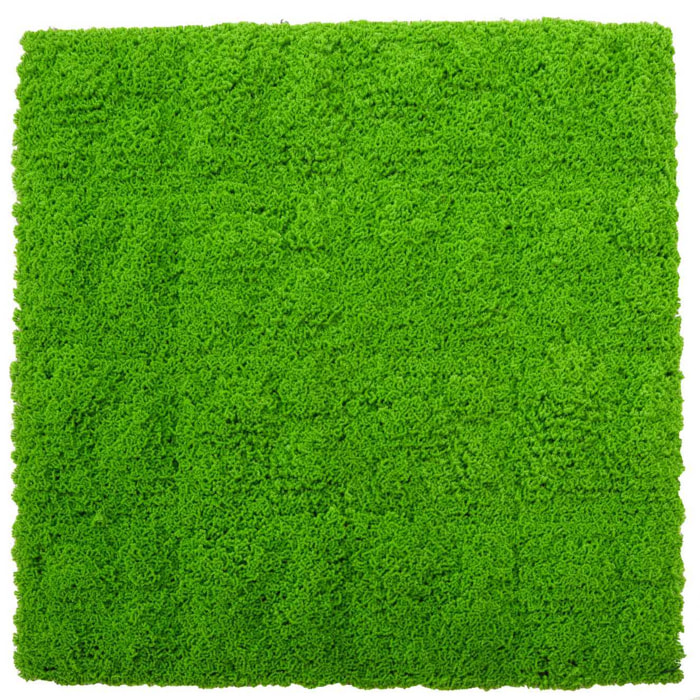 Parete verde verticale Vacchetti muschio cm100x100