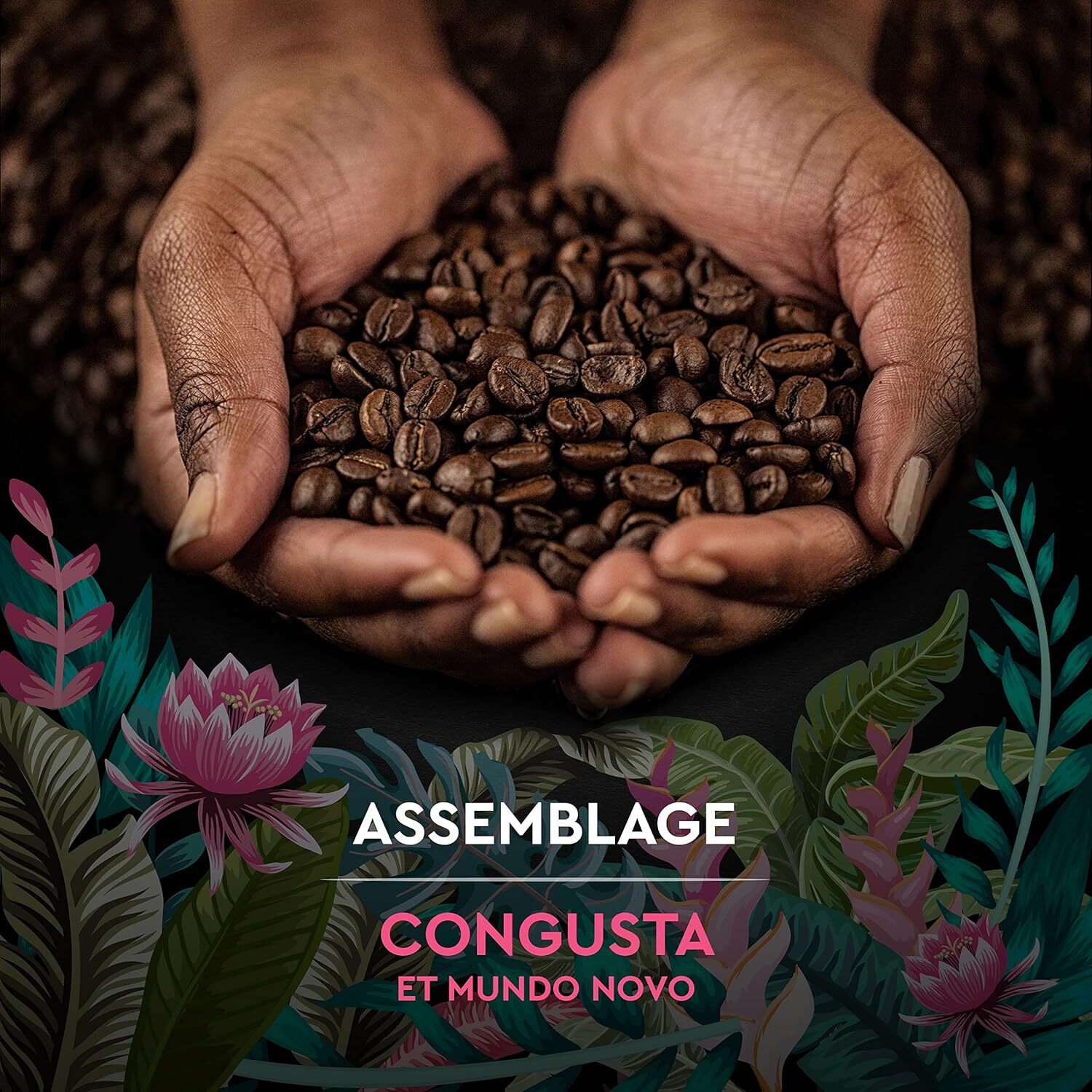 Grains Secret de Nature Congusta 1 KG