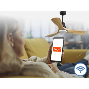 Ventilateur de plafond Réversible  Thermostat Dimmable Wifi Moteur à courant continu Toits en pente Télécommande Lumière à trois tons Hypersilence Mémoire