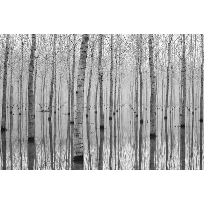 Tableau nature automnale pieds dans l'eau Tableau alu Dibond