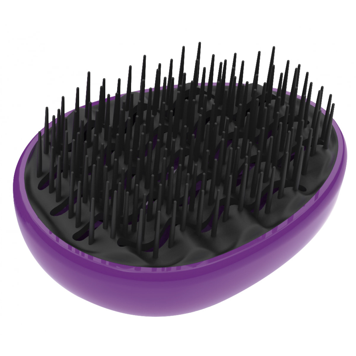 Spazzole Egg Brush Nero E Viola