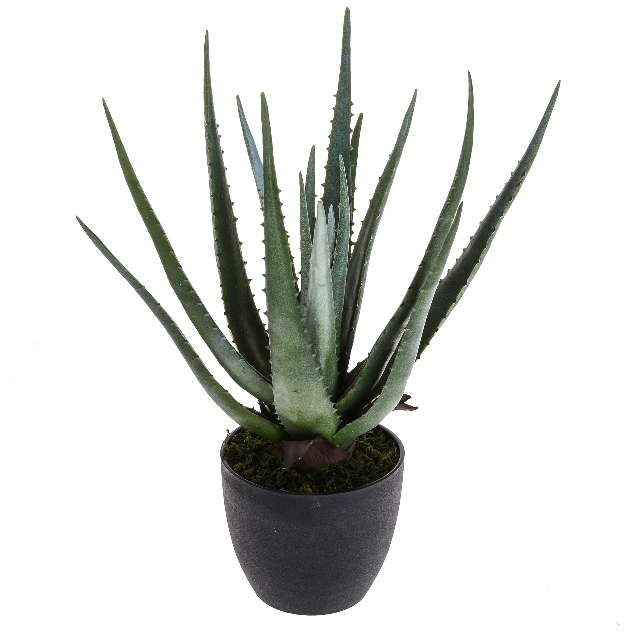 Aloe con vaso, 17 foglie - Pezzi 1 - 34X50X30 - Colore: Verde - Bianchi Dino - Piante Artificiali