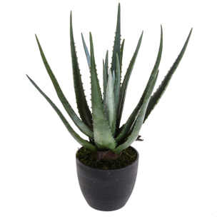 Aloe con vaso, 17 foglie - Pezzi 1 - 34X50X30 - Colore: Verde - Bianchi Dino - Piante Artificiali