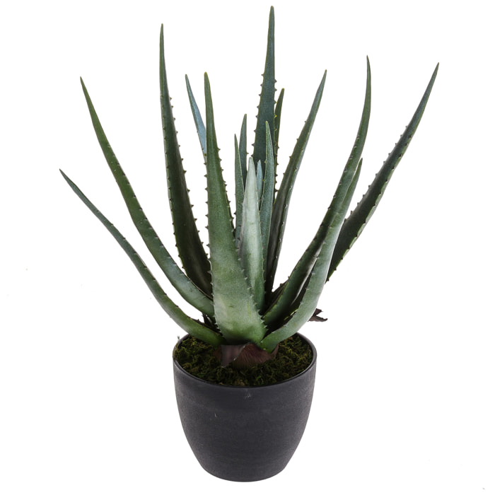 Aloe con vaso, 17 foglie - Pezzi 1 - 34X50X30 - Colore: Verde - Bianchi Dino - Piante Artificiali