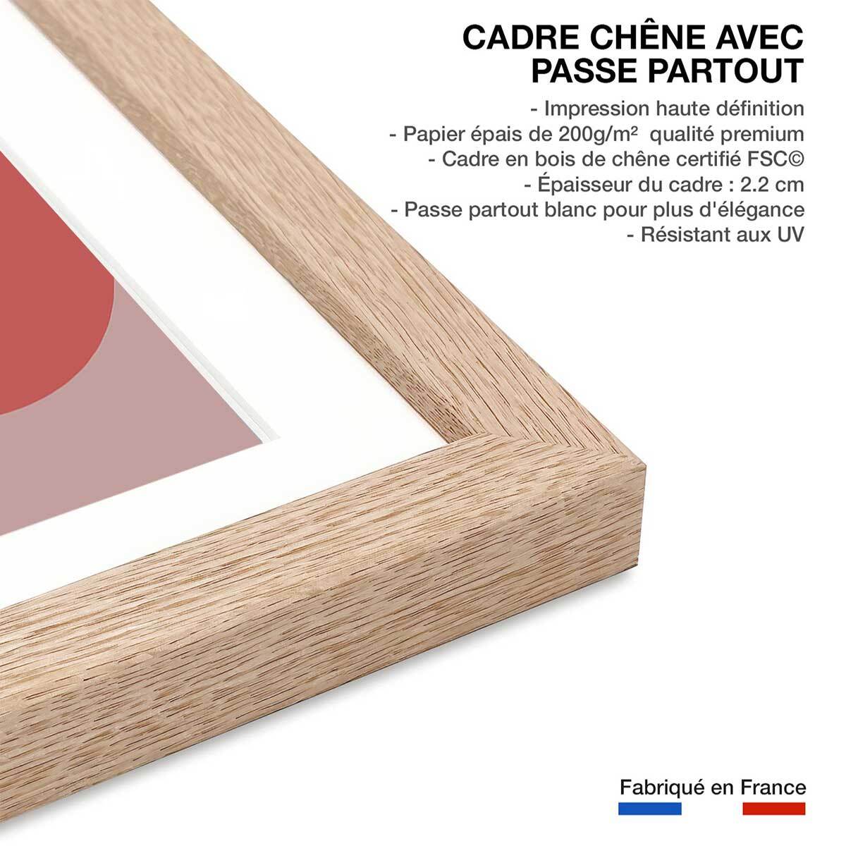 Affiche Line art et courbe rose Affiche + cadre en bois - Chêne