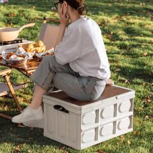 Caja de almacenamiento plegable color blanco con tapa imitación madera
