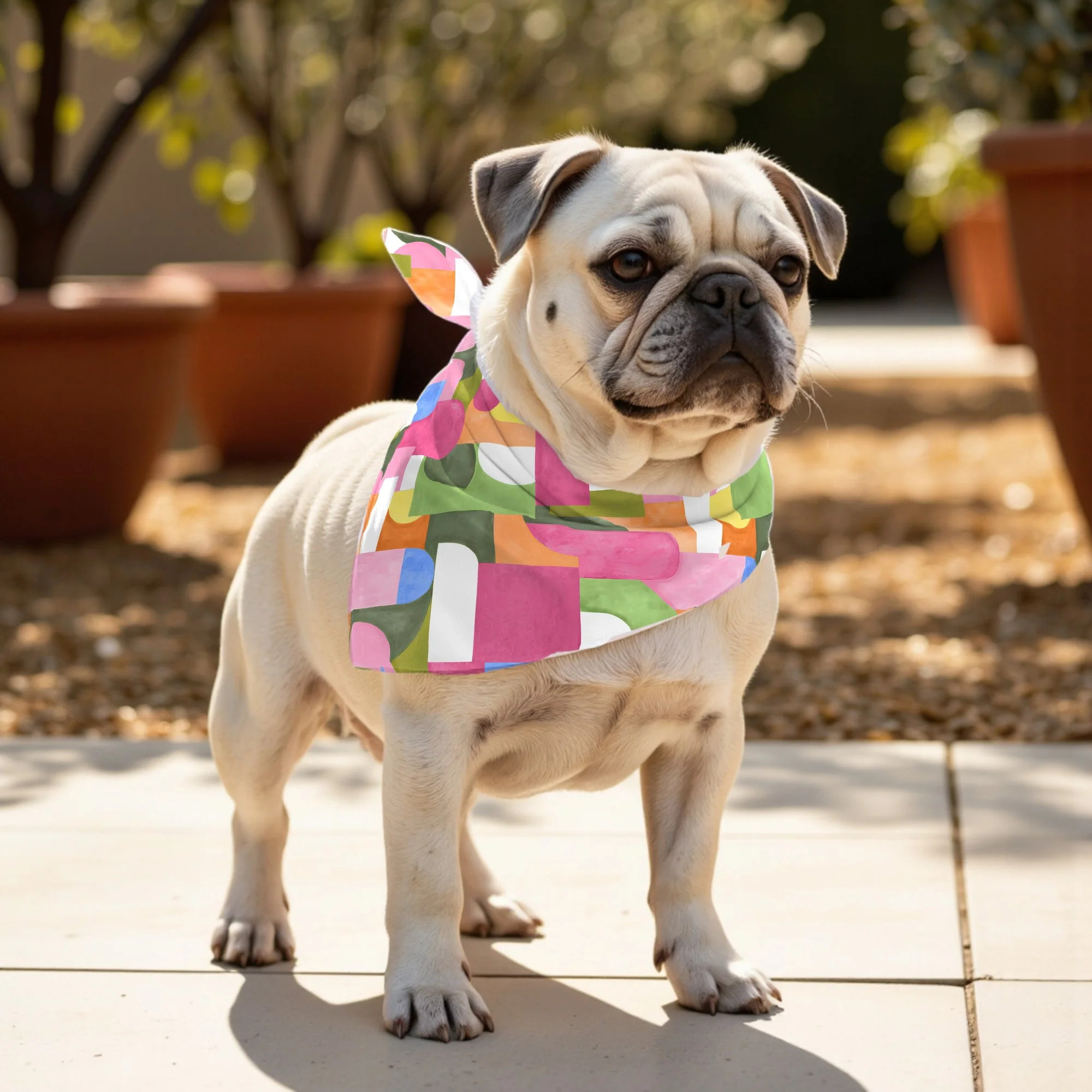 Pack de 2 bandanas pour animaux Dundee