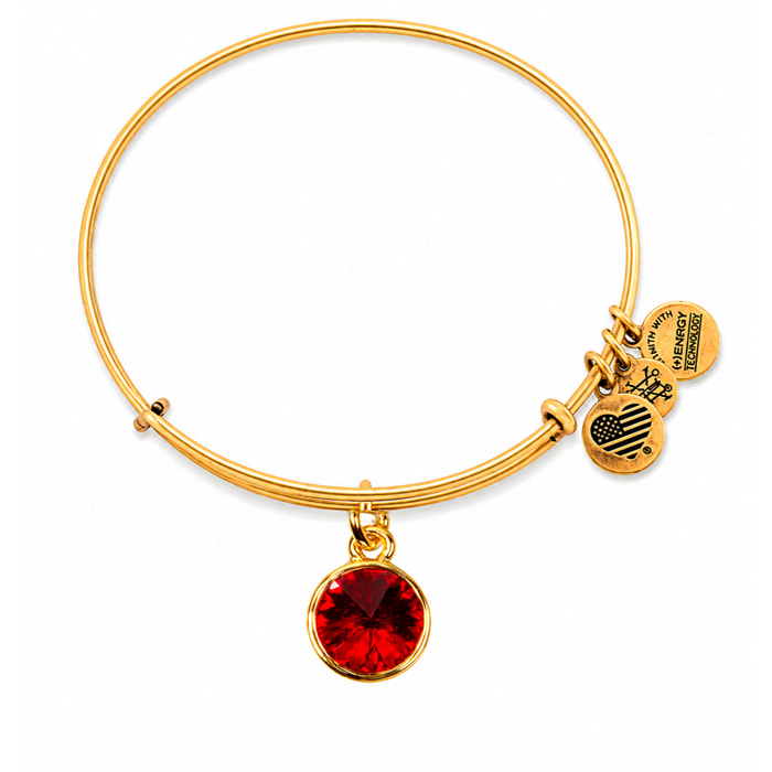 Pulsera Alex And Ani Mujer A12EB240RG