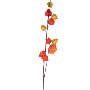 Physalis Ramo X17 H.100 Cm - Pezzi 4 - 18X95X14cm - Colore: Altro - Bianchi Dino - Piante Artificiali