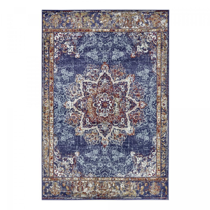 Tapis salon Rectangulaire Oriental