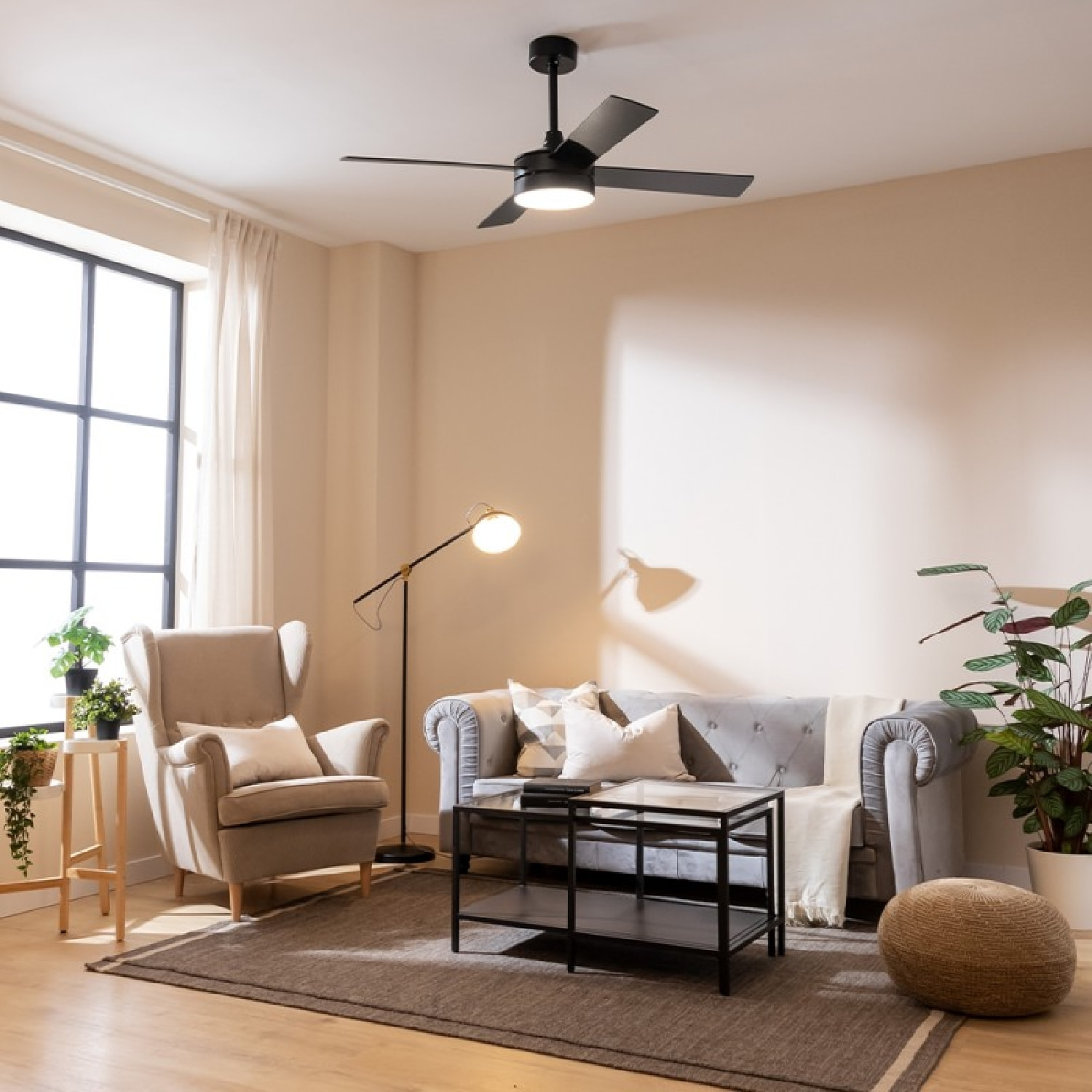 Cecotec Ventilateur de plafond EnergySilence Aero 5200 Black Line