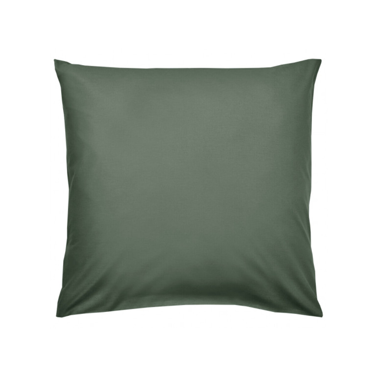 Lot de 2 taies d'oreiller gris/vert et broderie 65x65 cm - ANGELE 009