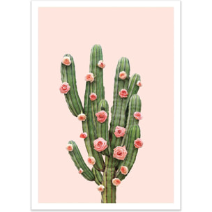 Affiche - Cactus and Roses - Paul Fuentes