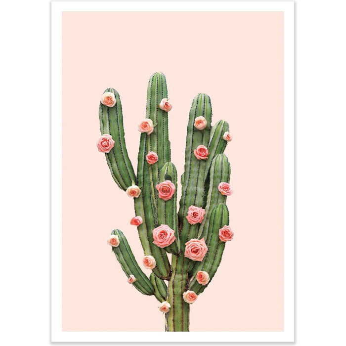 Affiche - Cactus and Roses - Paul Fuentes