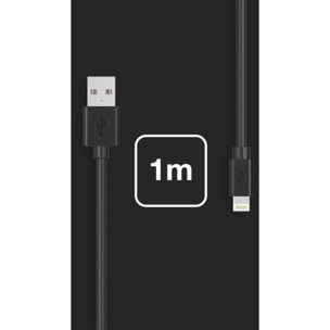 Câble Lightning ESSENTIELB vers USB 1m noir certifié Apple