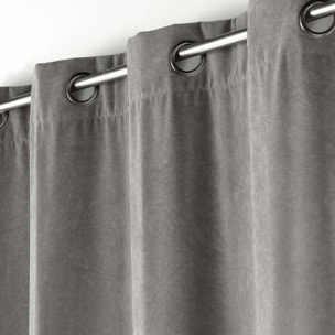 Rideau tamisant en velours uni - Gris