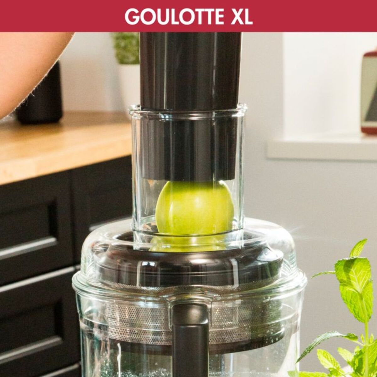 Extracteur de jus MAGIMIX 17555 Extra Press XL