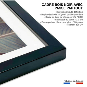 Affiche palm leaves y Affiche + cadre en bois - Noir