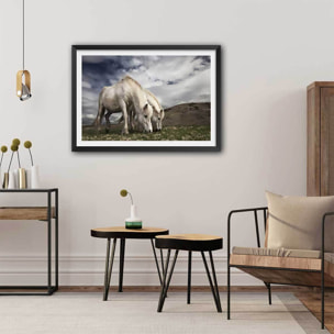 Affiche Chevaux blancs Affiche sous cadre noir