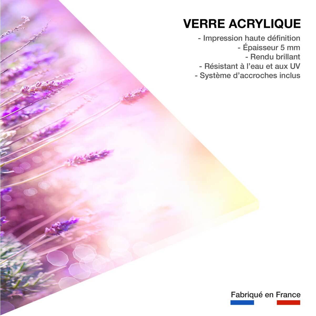 Tableau zoom lavande provençale Tableau plexiglas