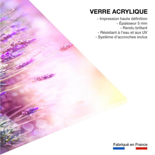 Tableau zoom lavande provençale Tableau plexiglas