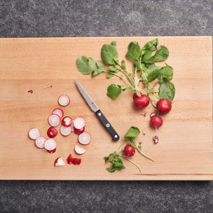 Couteau à Larder et à Garnir, 10 cm, Acier Spécial Inoxydable, Noir, Gourmet