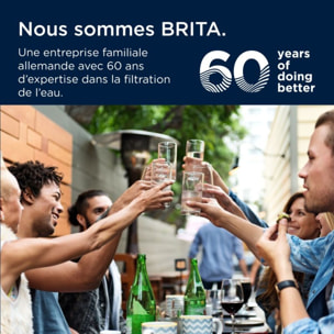 Cartouche filtrante BRITA MAXTRA PRO Pure Performance - Pack de 4