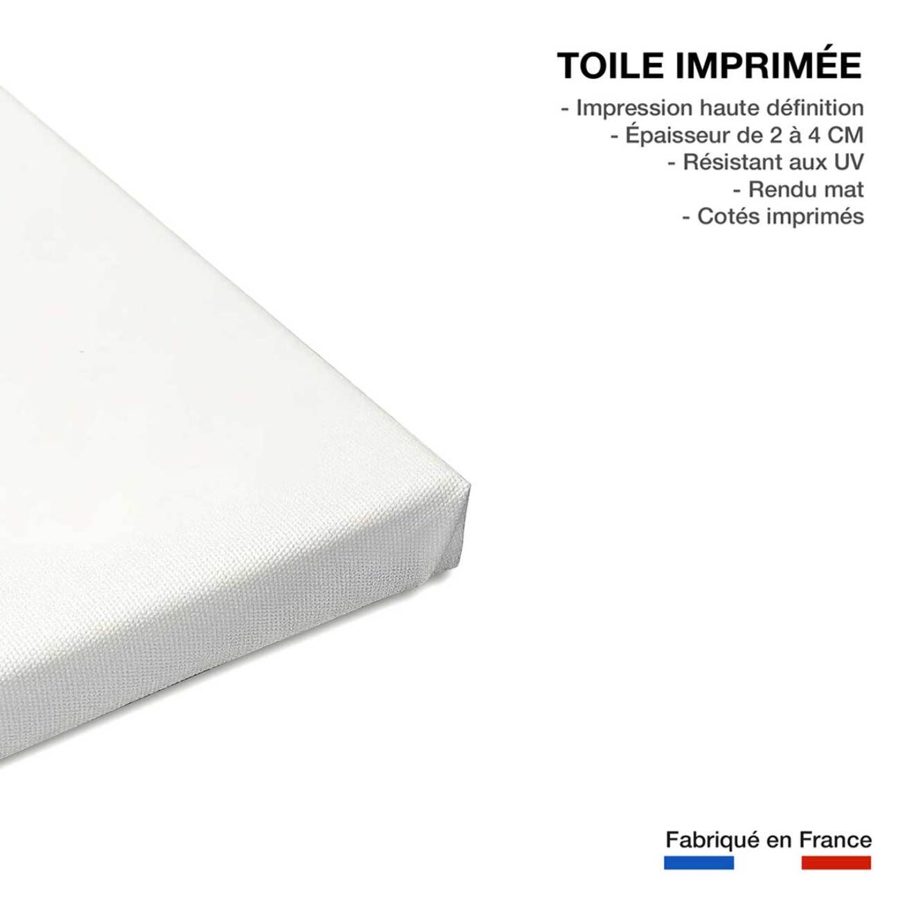 Tableau cuisine humour robes en fruit  Toile imprimée