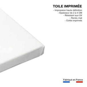 Tableau cuisine humour robes en fruit  Toile imprimée