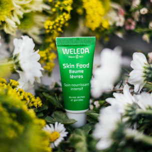 WELEDA - Skin Food Baume lèvres - 8 ml