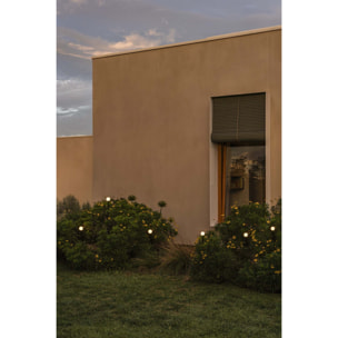 CUCA 1000 Estaca negra