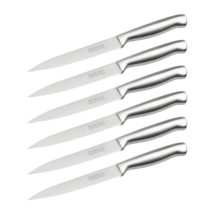 Ensemble de 6 Couteaux de cuisine professionnel 24 cm lame crantée Nirosta Star
