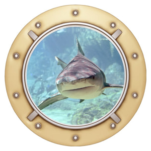 Stickers muraux 3D | Sticker Mural Autocollant effet REQUIN DESIGN - Stickers adhésifs 3D Chambre Salon Trompe l'oeil